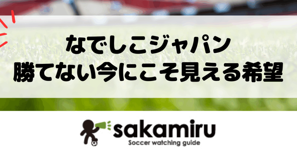 なでしこジャパン ノルウェー戦で浮き彫りになった課題と未来への一歩